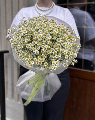 Daisy Bouquet