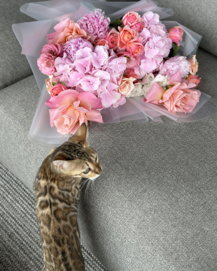 Bouquet "Angelica"