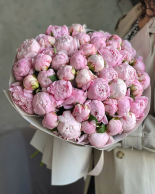 Bouquet of peonies