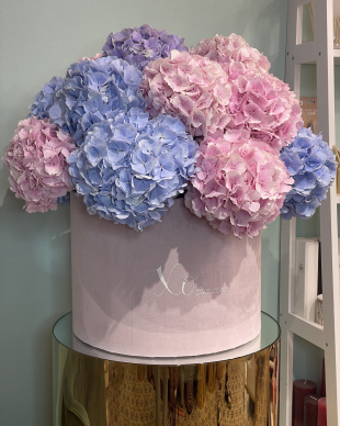 Box with hydrangea