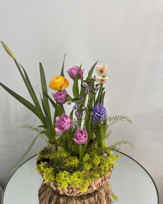 Garden "Bright meadow"