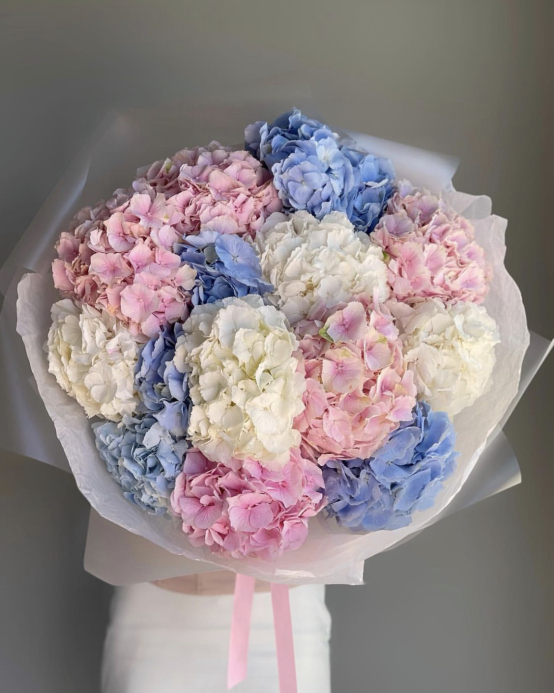 Bouquet Hydrangea