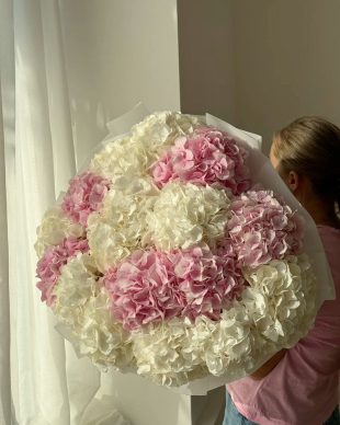 Mono bouquet of hydrangeas