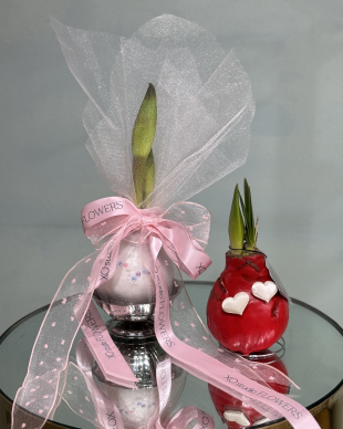 Амариллис в воске