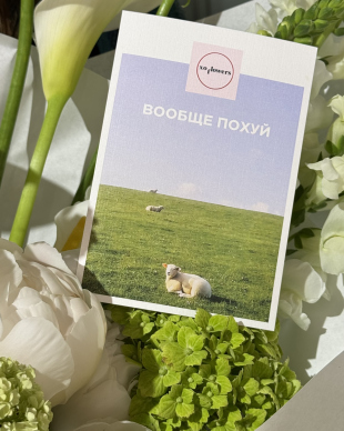greeting card