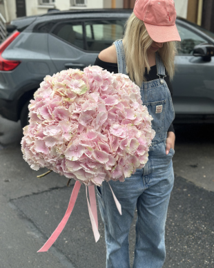Buchet din hortensie Verena Pink