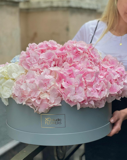 Box with hydrangea "Air marshmallow"