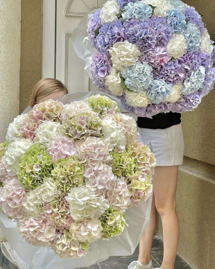 Hydrangea bouquet