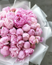 A bouquet of pink peonies