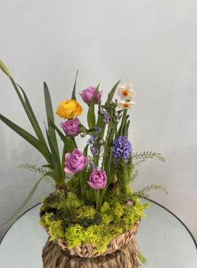 Flowers for March 8 - the Spring Breath of Love