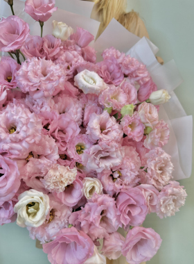 Eustoma - frumusețea rafinată și forța naturii în fiecare buchet