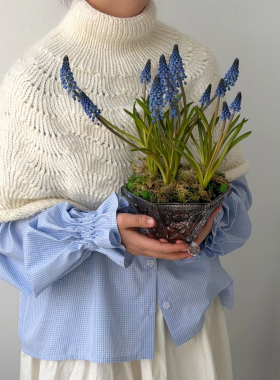 Spring gardens in Chisinau: bulb arrangements for home and business