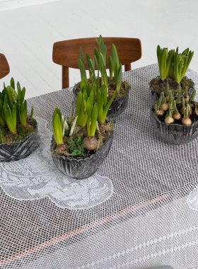 Spring gardens in Chisinau: bulb arrangements for home and business