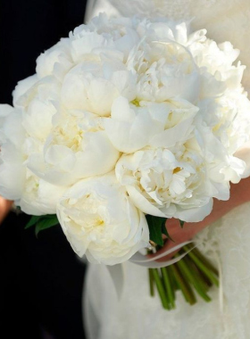Bujori fără filtre: din experiența personală a florarilor XOstudio FLOWERS