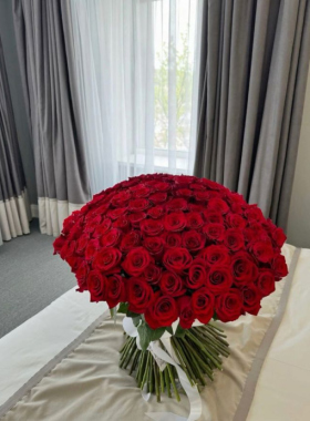 Which Bouquet to Give on Valentine’s Day