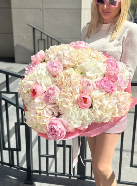 Hydrangea-hortensia: „donna” printre flori