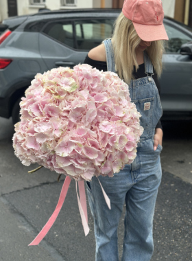 Flori în Chișinău - 2