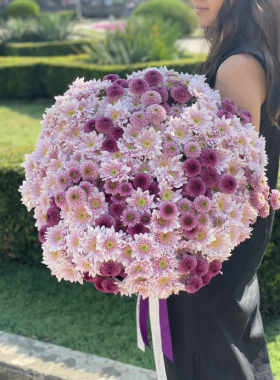 Chrysanthemums: flowers that are always with you