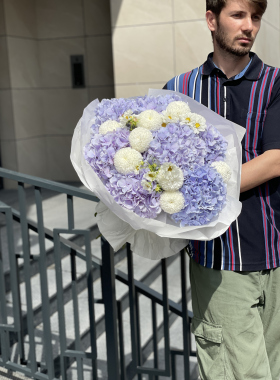 Hydrangea-hortensia: „donna” printre flori