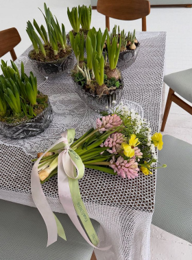 Spring gardens in Chisinau: bulb arrangements for home and business