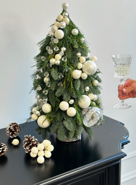 Christmas and New Year's compositions: eco-style and harmony