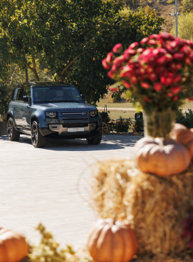 XOstudio FLOWERS: когда флористика говорит языком эмоций