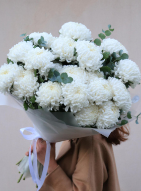 Chrysanthemums: flowers that are always with you