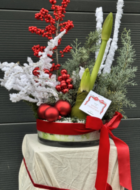 Ilex Welcomes Winter: A Living Fairytale of Winter Bouquets