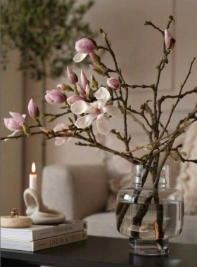 Magnolia Branch with Unopened Buds: Fragile Boldness 