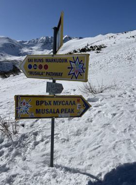 XOstudio FLOWERS at the top of the Balkans: the studio’s flag raised on Mount Musala