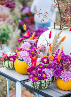 XOstudio FLOWERS: когда флористика говорит языком эмоций