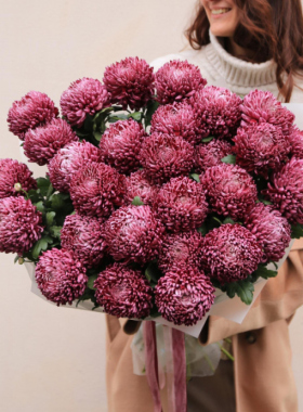 Chrysanthemums: flowers that are always with you