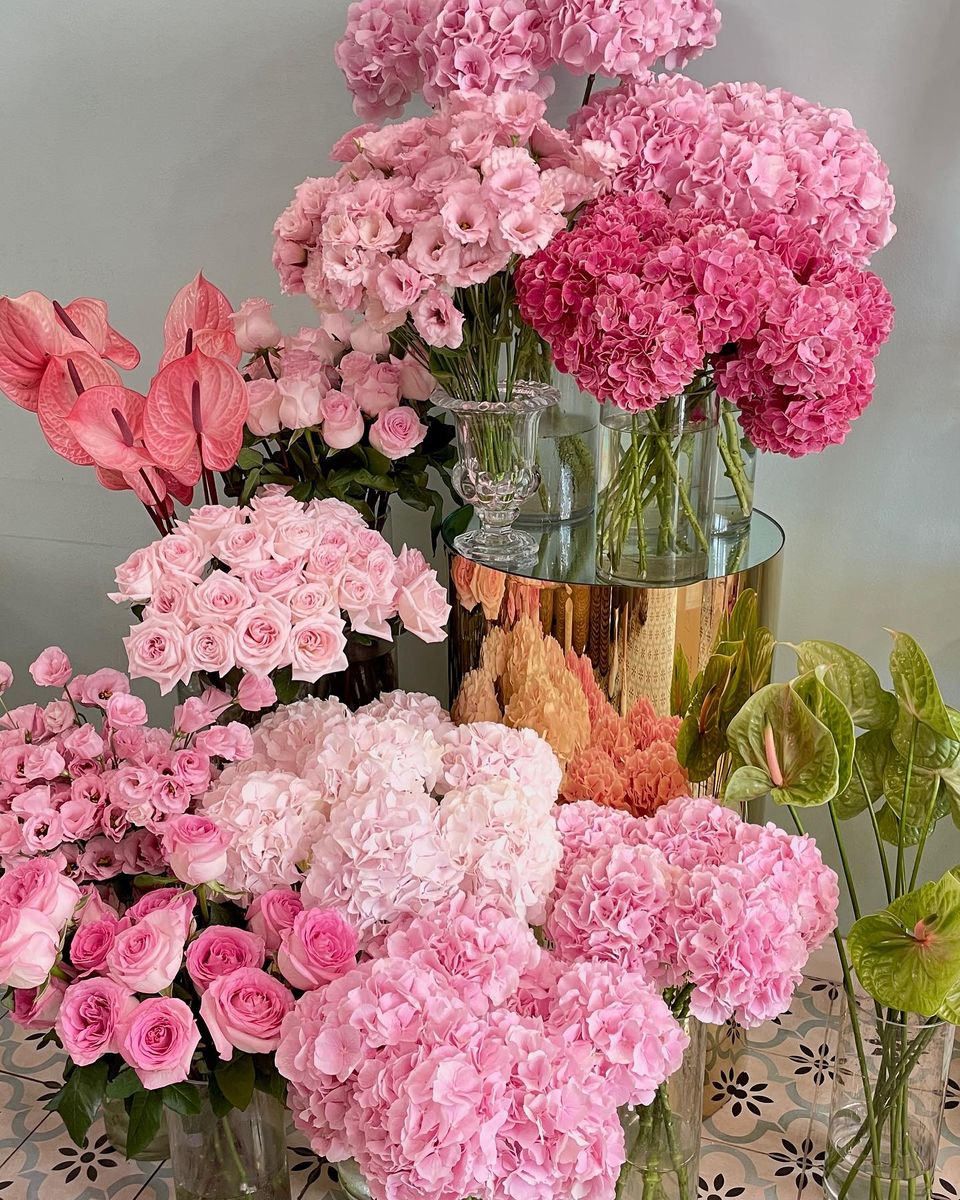 Cut flowers in a vase need to be fed; buy flower fertiliser, XOstudio FLOWERS.