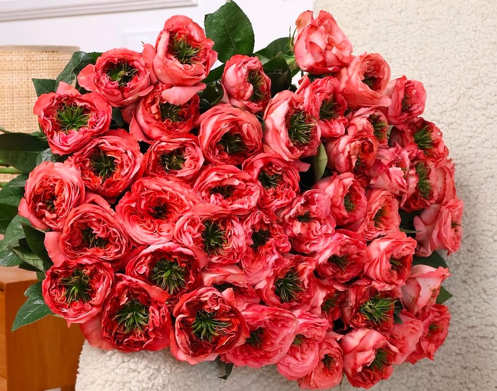 Beautiful fresh flowers to buy with delivery in Chisinau.