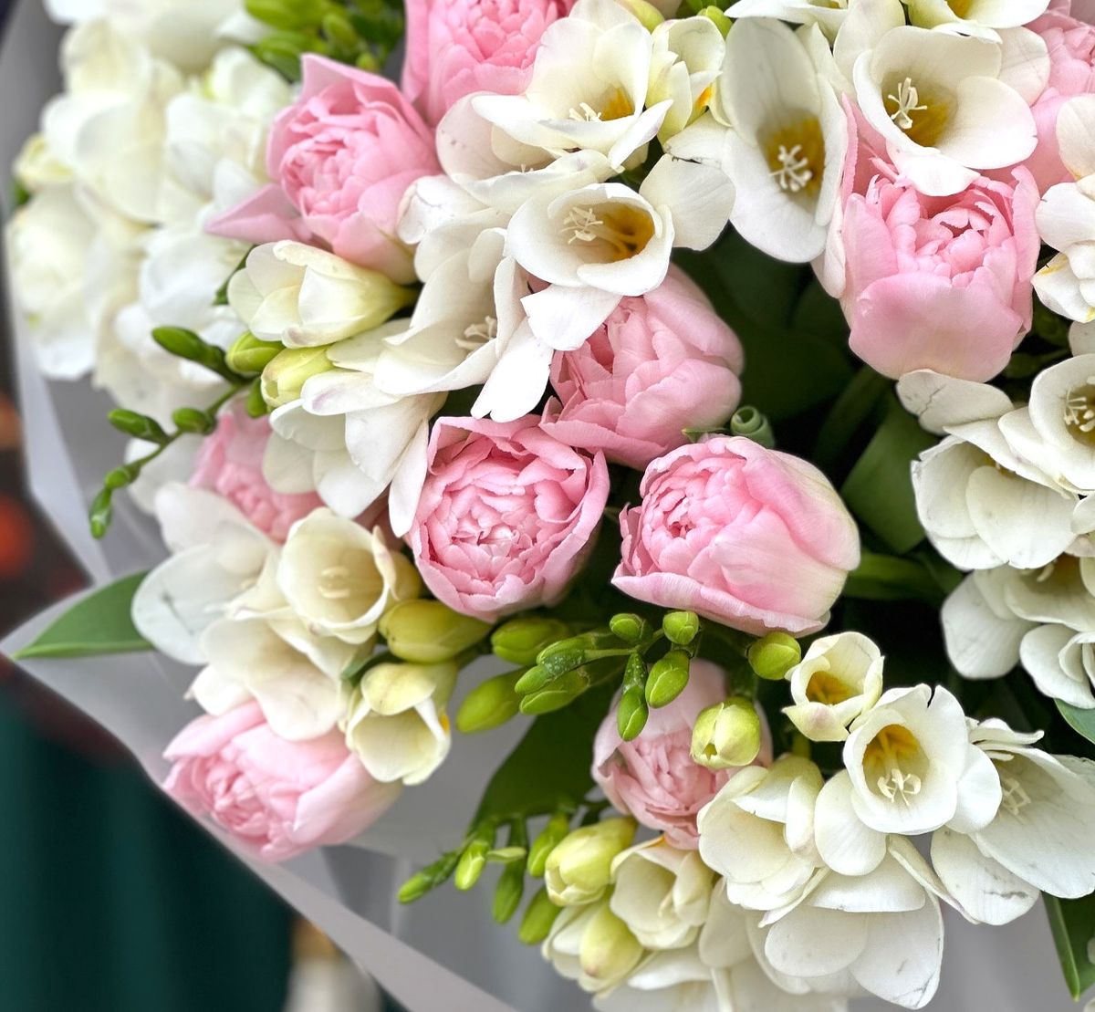 Comandați buchete cu frezii proaspete pe xoflowers.md cu livrare în Chișinău.