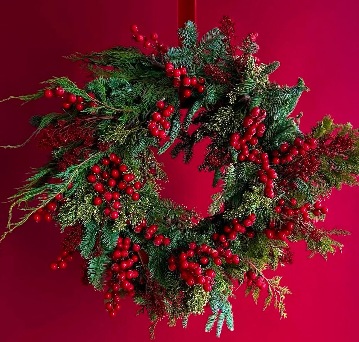 Ilex - red berries in Christmas compositions and winter bouquets in Chisinau.