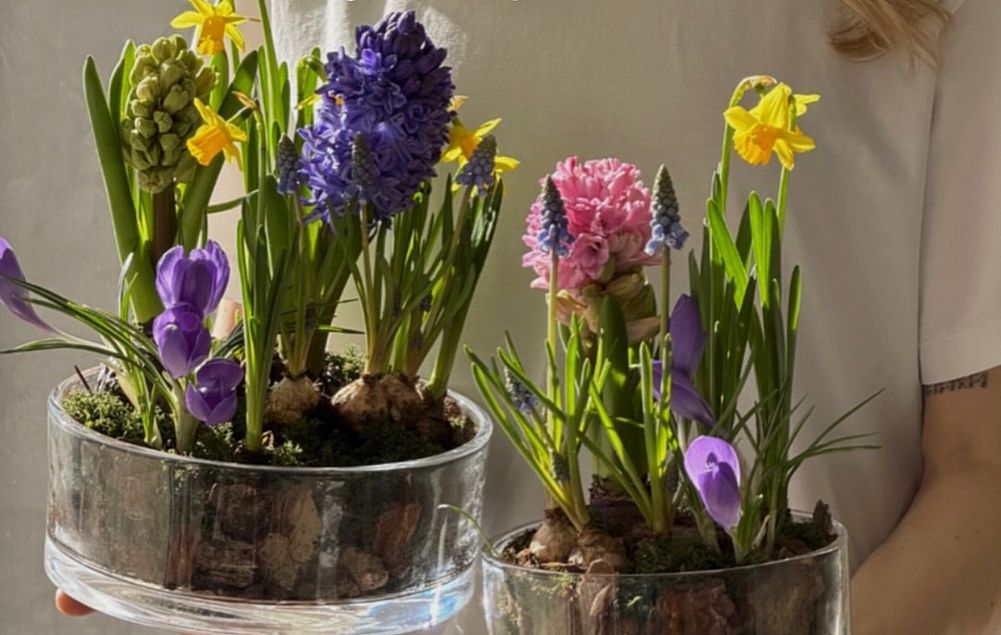 Spring gardens for interior decoration in beautiful pots in Chisinau, xoflowers.md