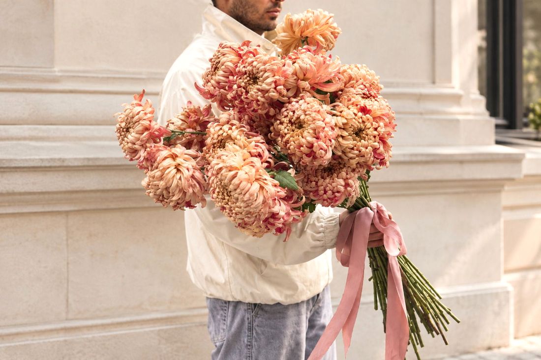 Luxurious Vienna chrysanthemums, grown in Moldova, are available at XOstudio FLOWERS.