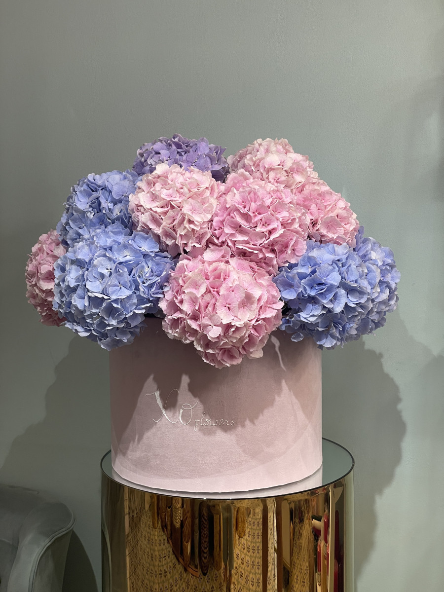 Buy fresh Hydrangeas in bouquets