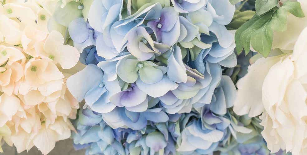 Luxurious author's bouquets of hydrangeas buy in Chisinau with delivery.