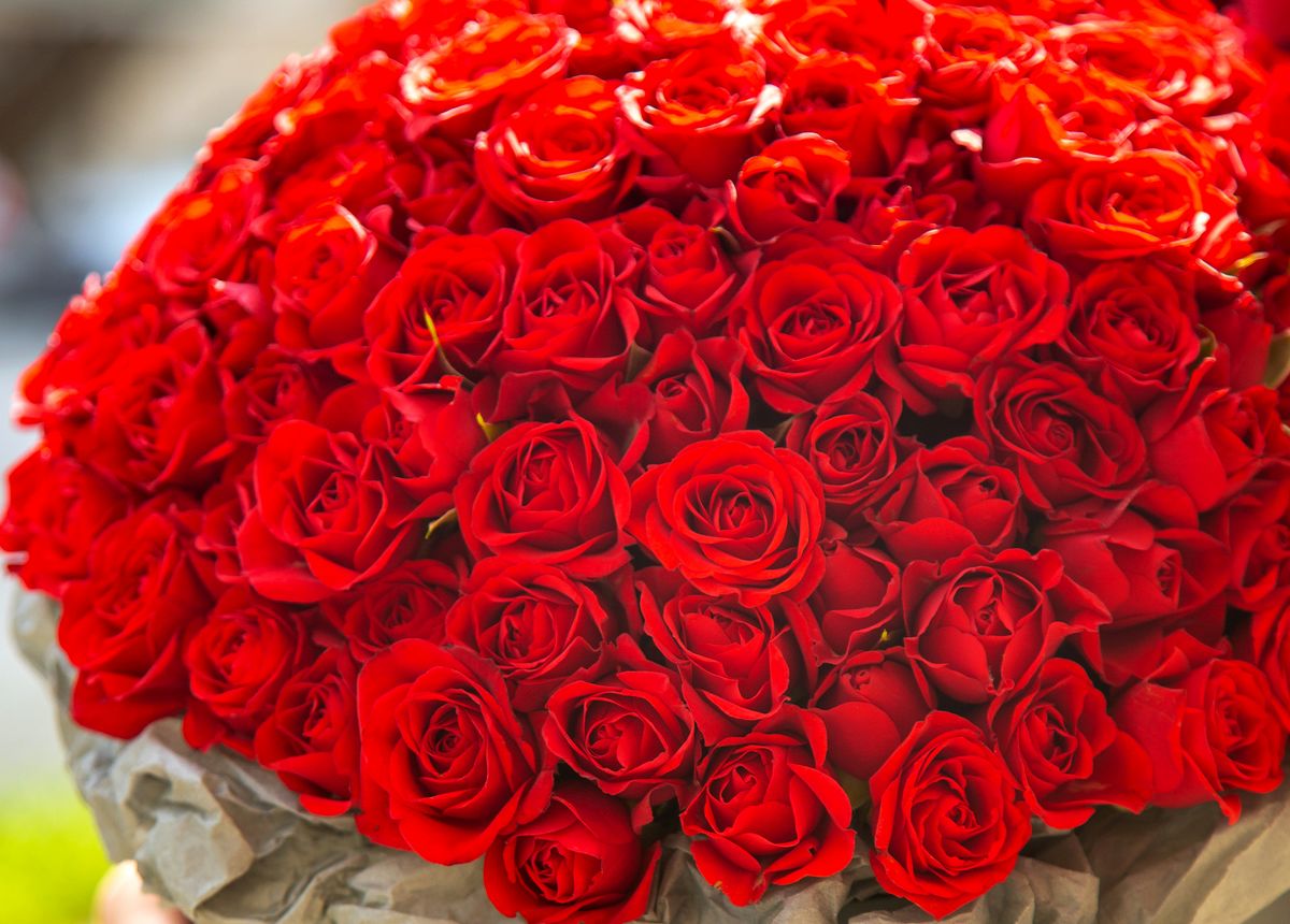 Bouquets of 51 or 101 red roses in Chisinau with delivery, xoflowers.md
